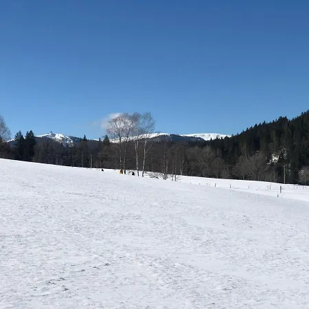 Gaestehaus Lickert Familie Dreher Daire *