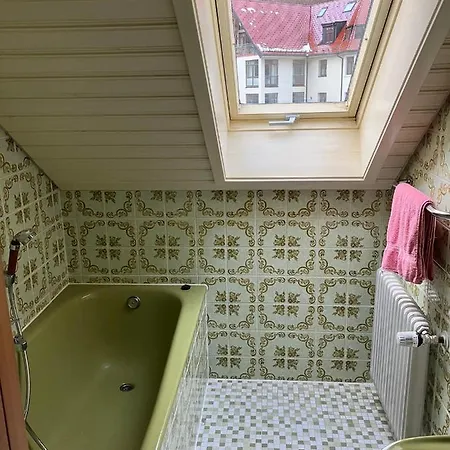 Gaestehaus Lickert Familie Dreher Daire Hinterzarten