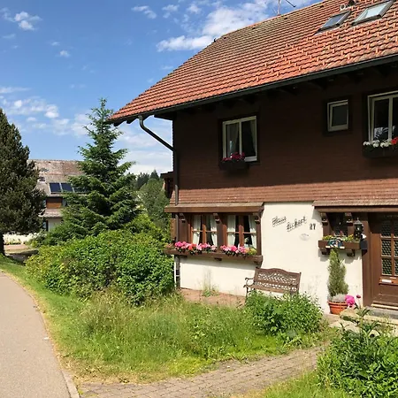 Daire Gaestehaus Lickert Familie Dreher Hinterzarten